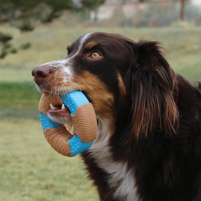 KONG Corestrength™ Bamboo Bone Large