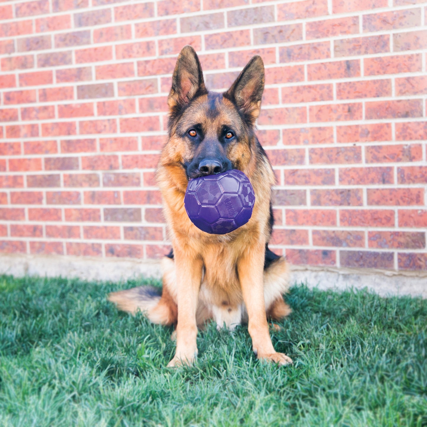 KONG Flexball, med/lge