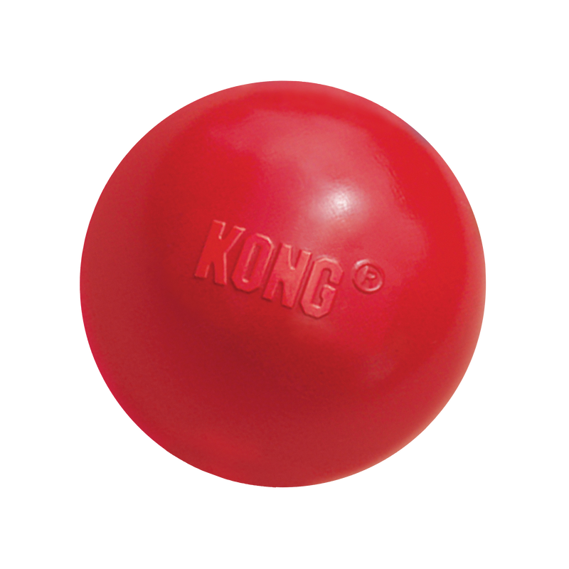 KONG Ball WITH HOLE