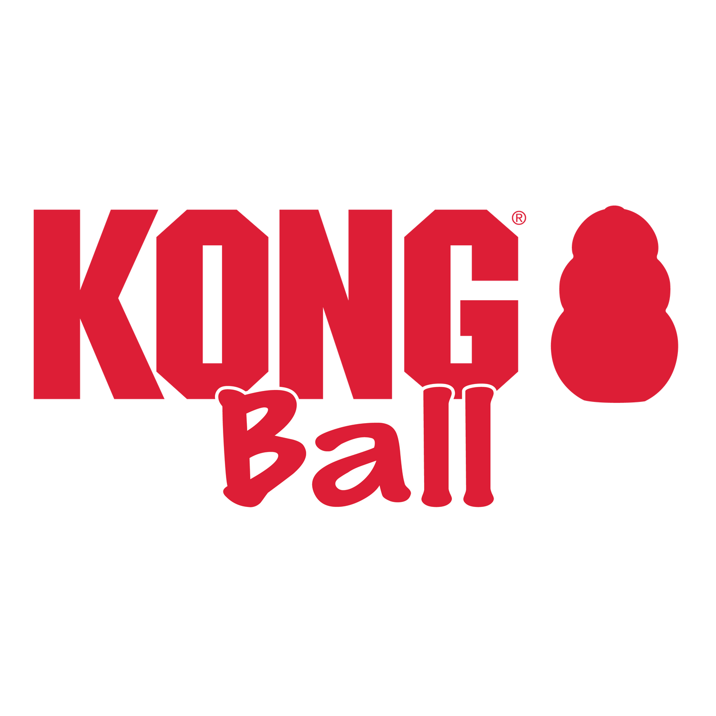 KONG Ball WITH HOLE
