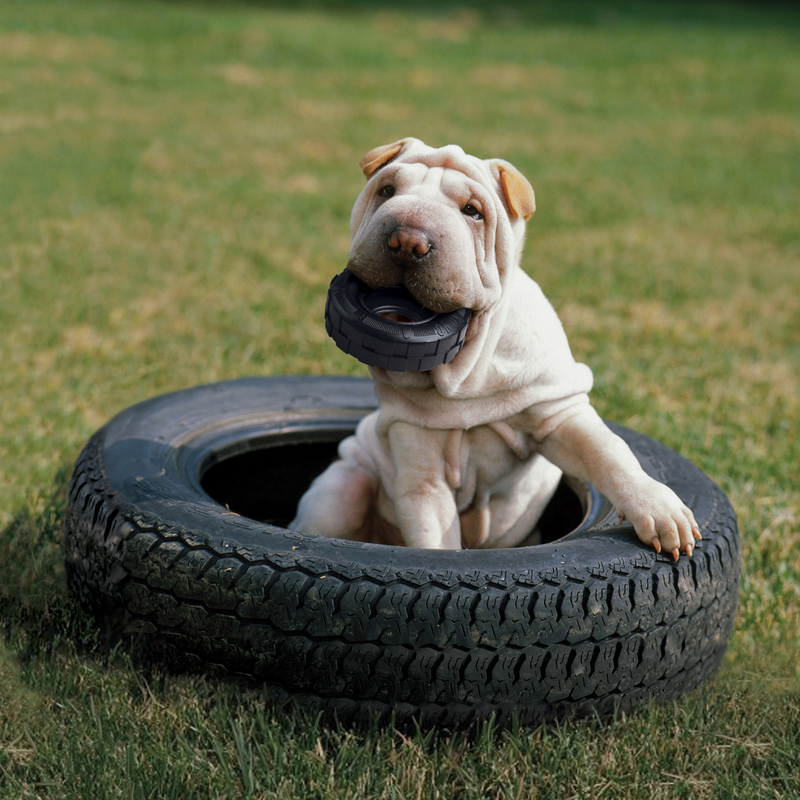 KONG extreme tyres small