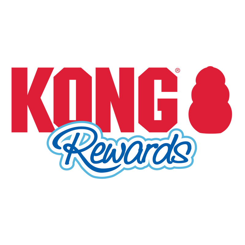 KONG Rewards Shell Small