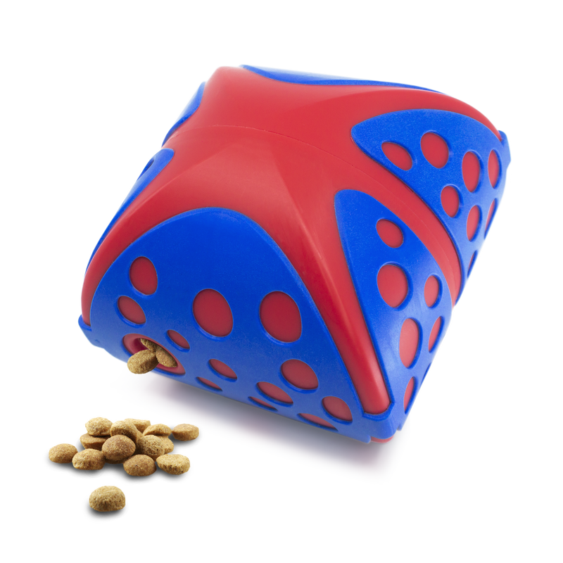 KONG Rewards Wally Medium/Large