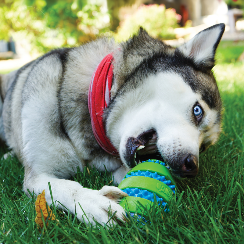 KONG Squeezz Goomz Ball Xtra Large