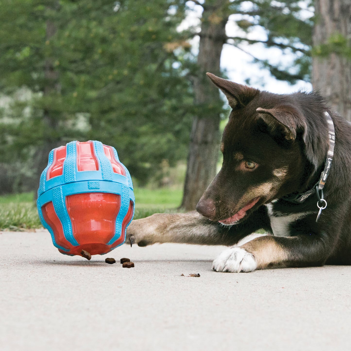 KONG Treat Spinner, lge