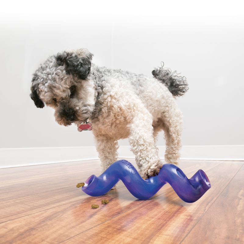 KONG TREAT SPIRAL STICK
