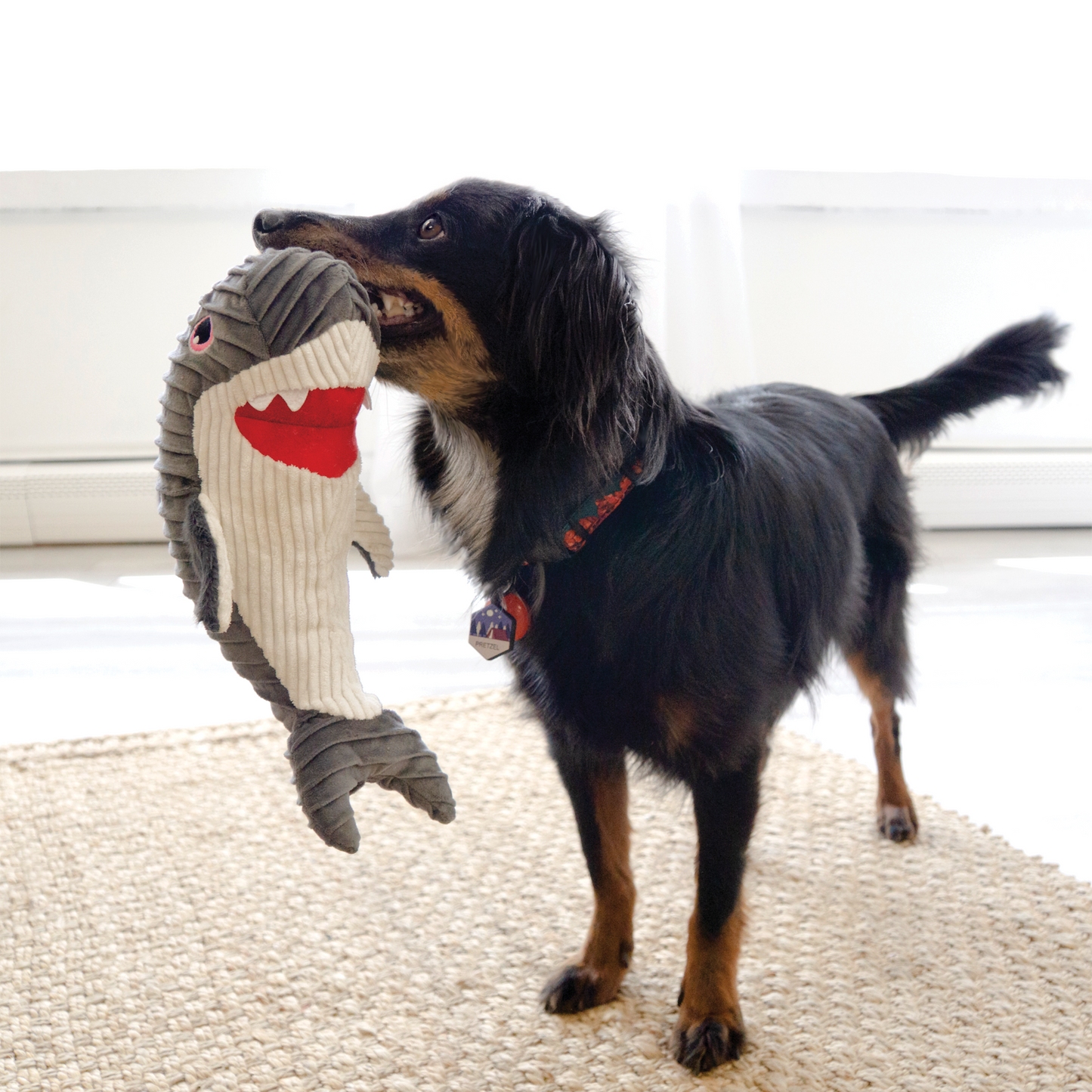 KONG Cuteseas Rufflez Shark