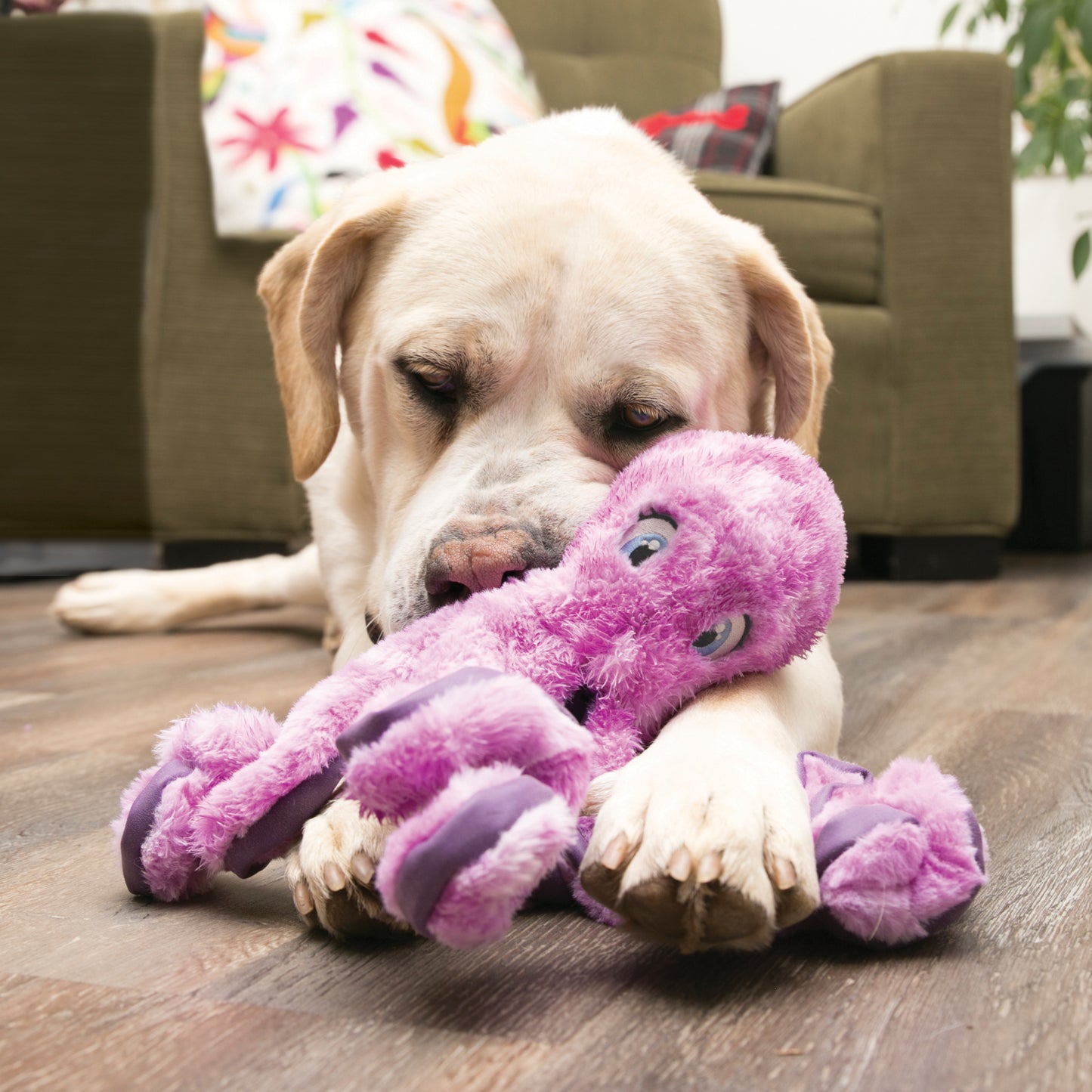 KONG SoftSeas Octopus, lge