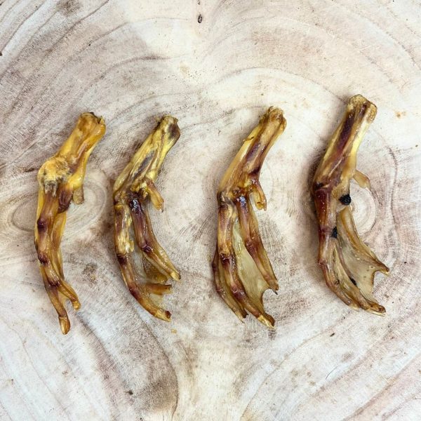 DUCK FEET