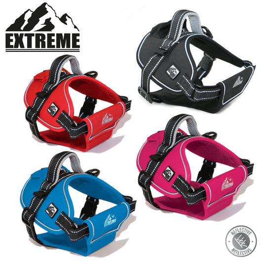 EXTREME HARNESS