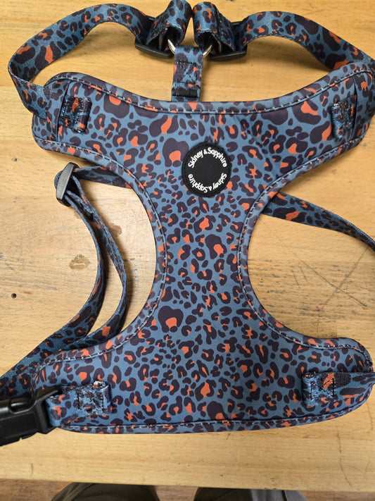 SIDNEY & SAPPHIRE LARGE HARNESS