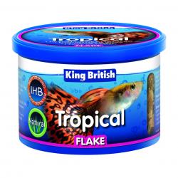 King British Tropical Fish Flake Food, 55g