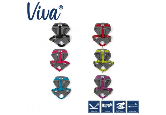 VIVA PADDED HARNESS