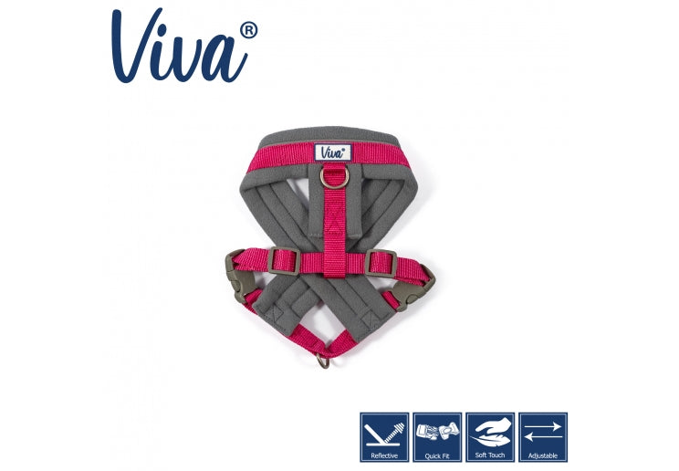 VIVA PADDED HARNESS