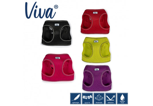 VIVA STEP-IN HARNESS