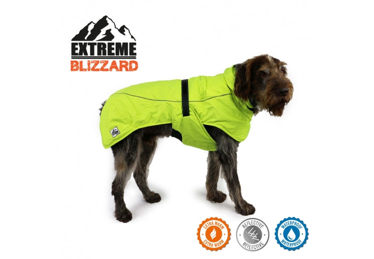 EXTREME BLIZZARD DOG COAT