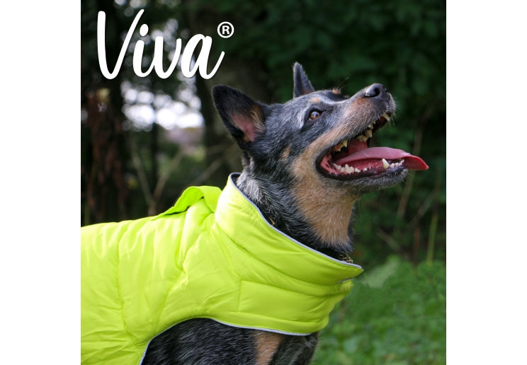 VIVA REVERSIBLE COAT BLACK/HI-VIS