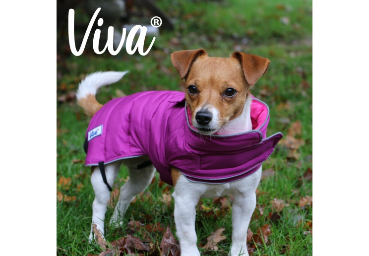 VIVA REVERSIBLE COAT PINK/PURPLE