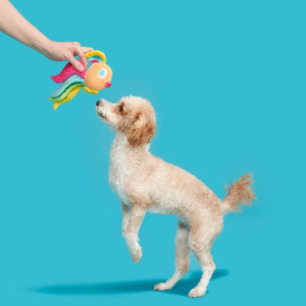 Bark Ahi Tina Dog Toy