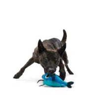 Bark Catfish Claude Dog Toy