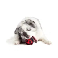 Bark Lady Bugsy Dog Toy