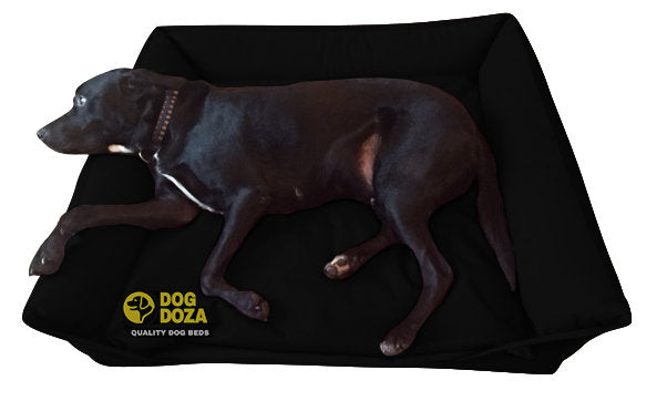 Waterproof Sofa Bed
