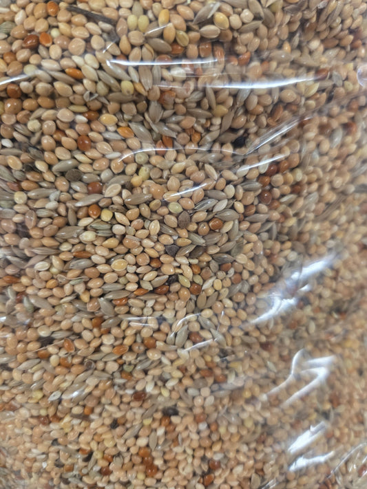 BUDGIE SEED 1 KG