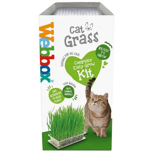 WEBBOX CAT GRASS