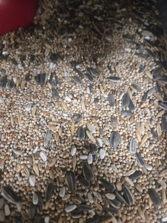 COCKATIEL & PARAKEET 1KG