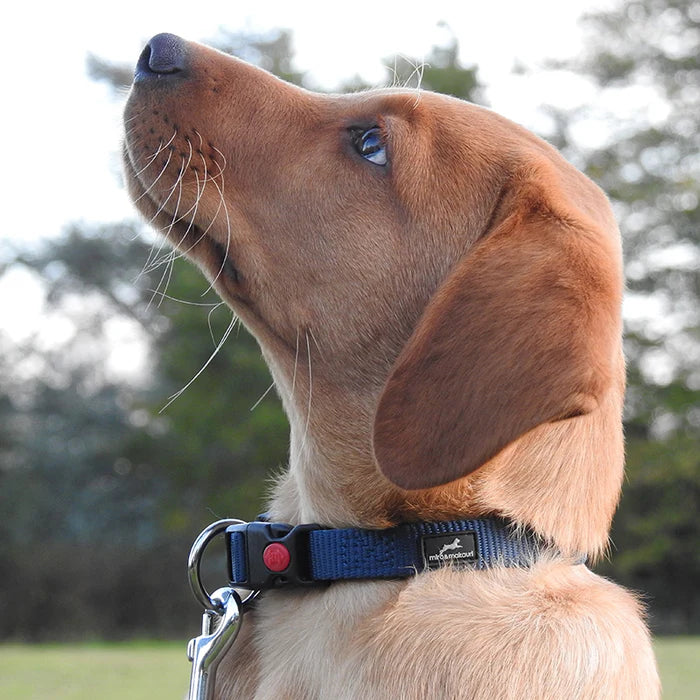 NYLON SAFETY COLLARS