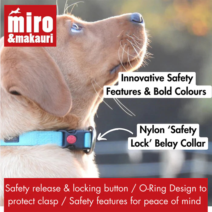 NYLON SAFETY COLLARS