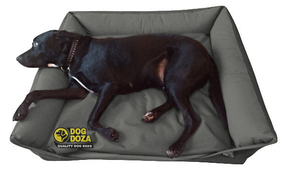 Waterproof Sofa Bed
