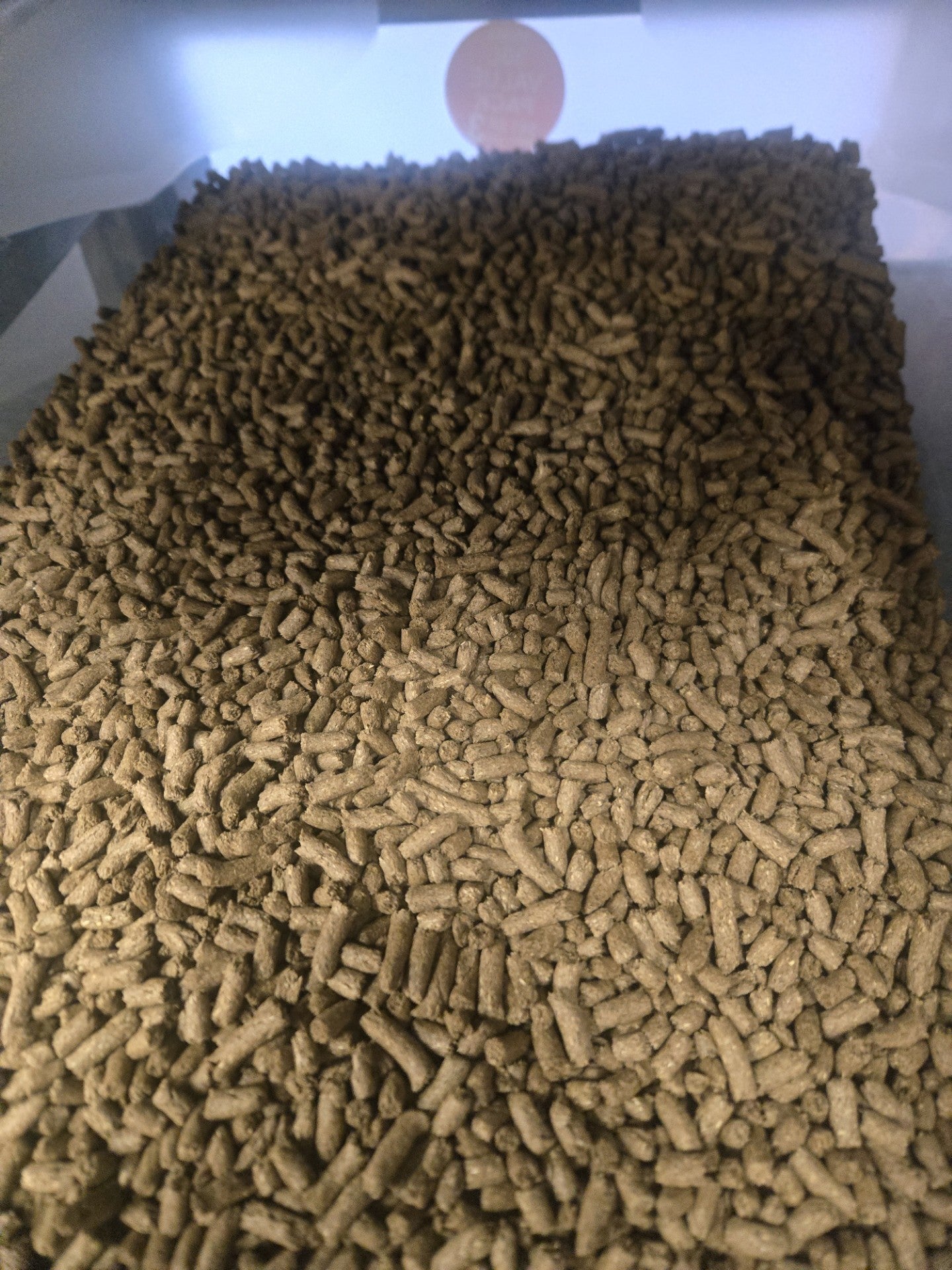 GUINEA PIG NUGGETS 1 KG