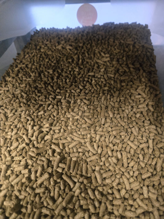 GUINEA PIG NUGGETS 1 KG