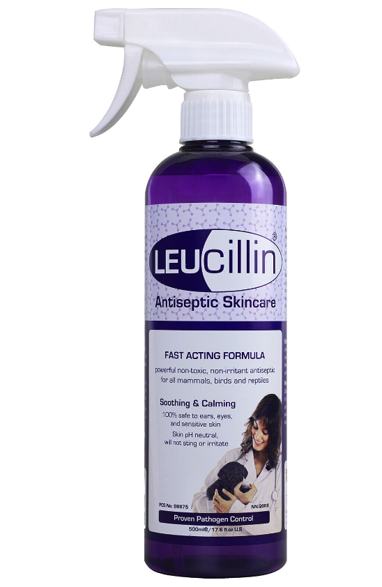 Leucillin Antiseptic Pet SkinCare Solution Spray Anti-Fungal Instant Germ Killer 500ML