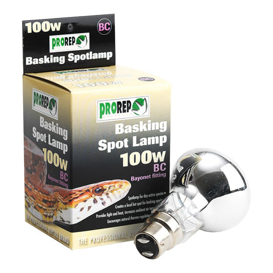 PR Basking Spot Lamp 100w BC