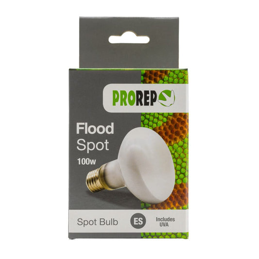 PR Flood Spot Lamp 100w ES