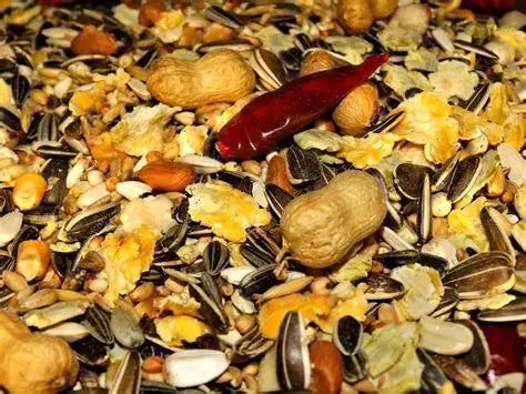 PARROT NO 1 FOOD -  1kg