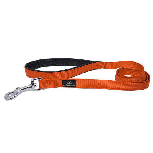 BELAY NYLON LEAD