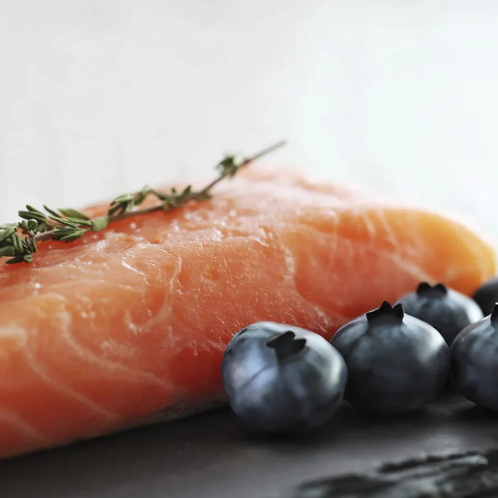 Salmon with Blueberries Complete Dog Food (8kg)