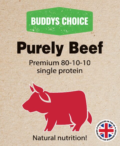 BUDDYS CHOICE PURELY BEEF 12 X 454G
