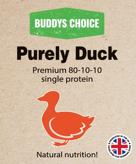 BUDDYS CHOICE PURELY DUCK 12 X 454G