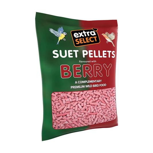 EXTRA SELECT SUET PELLETS 550G