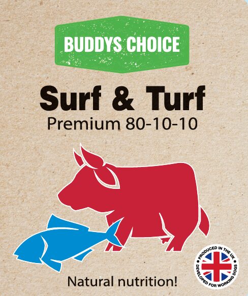 BUDDYS CHOICE SURF & TURF 12 X 454G