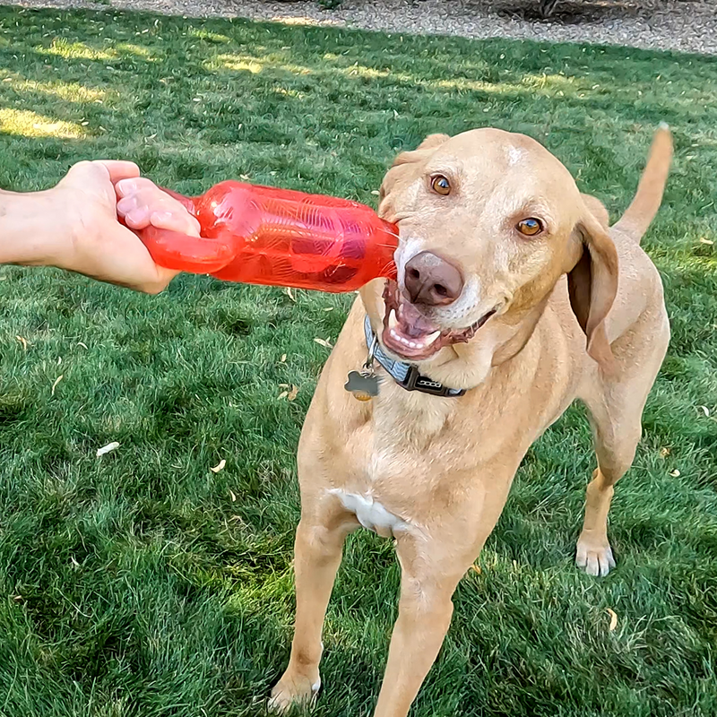 KONG JumblerTug Assorted