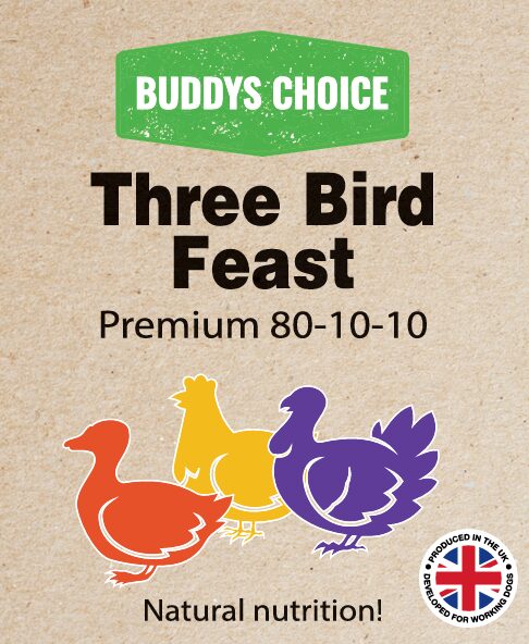 BUDDYS CHOICE THREE BIRD FEAST 454G X 12