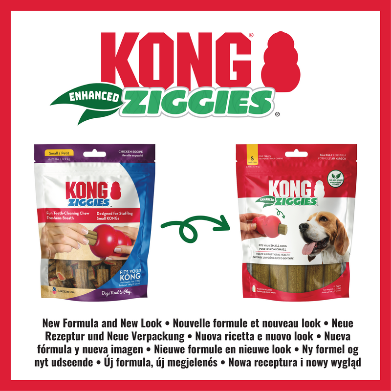 KONG Ziggies Enhanced