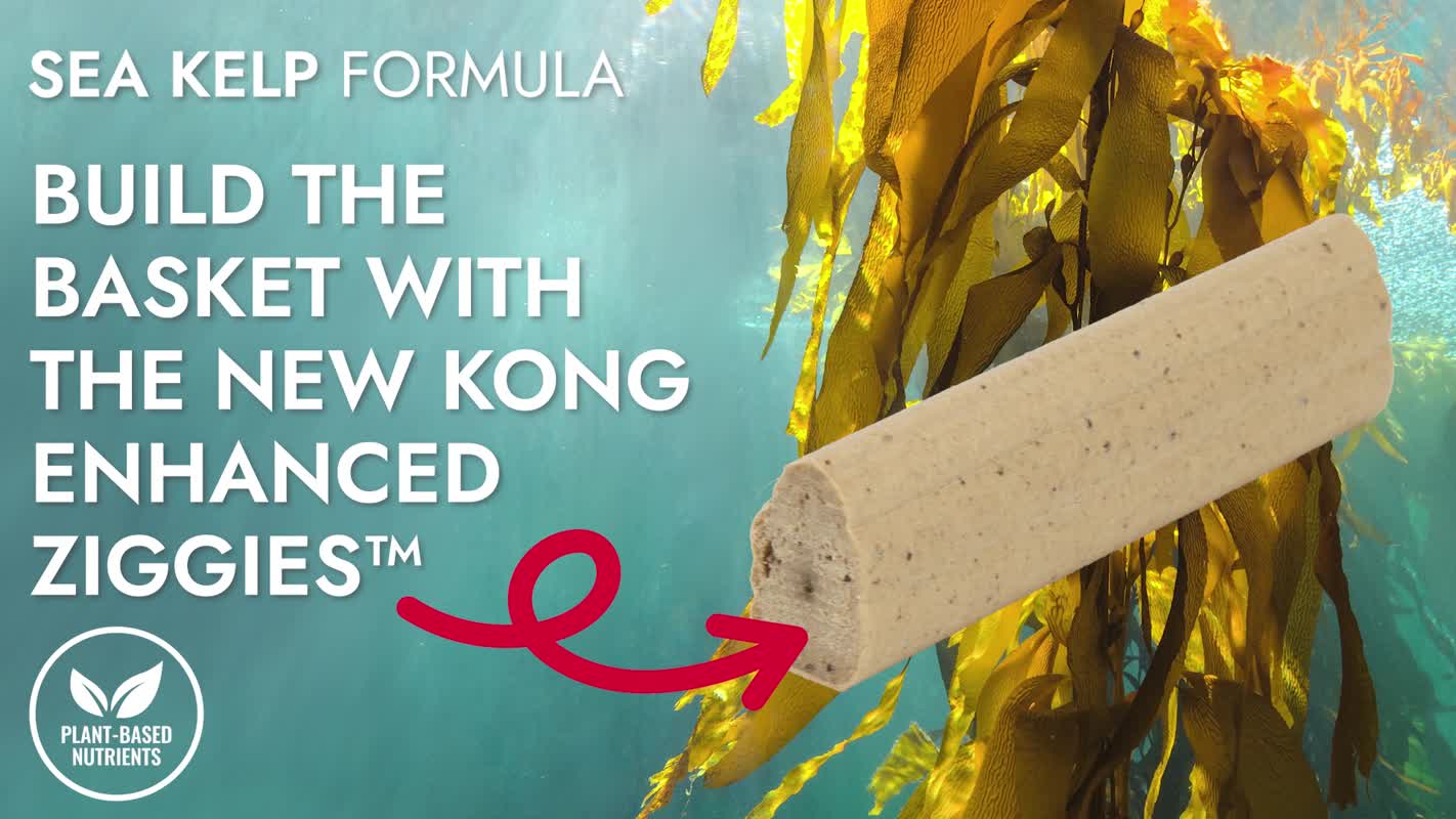 KONG Ziggies Enhanced