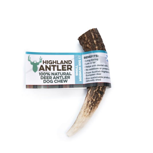 Antos Antler