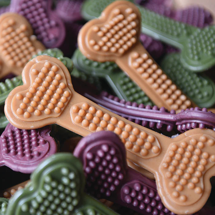 Vegan Dog Chews - the Maks Patch 'BumpiBone'